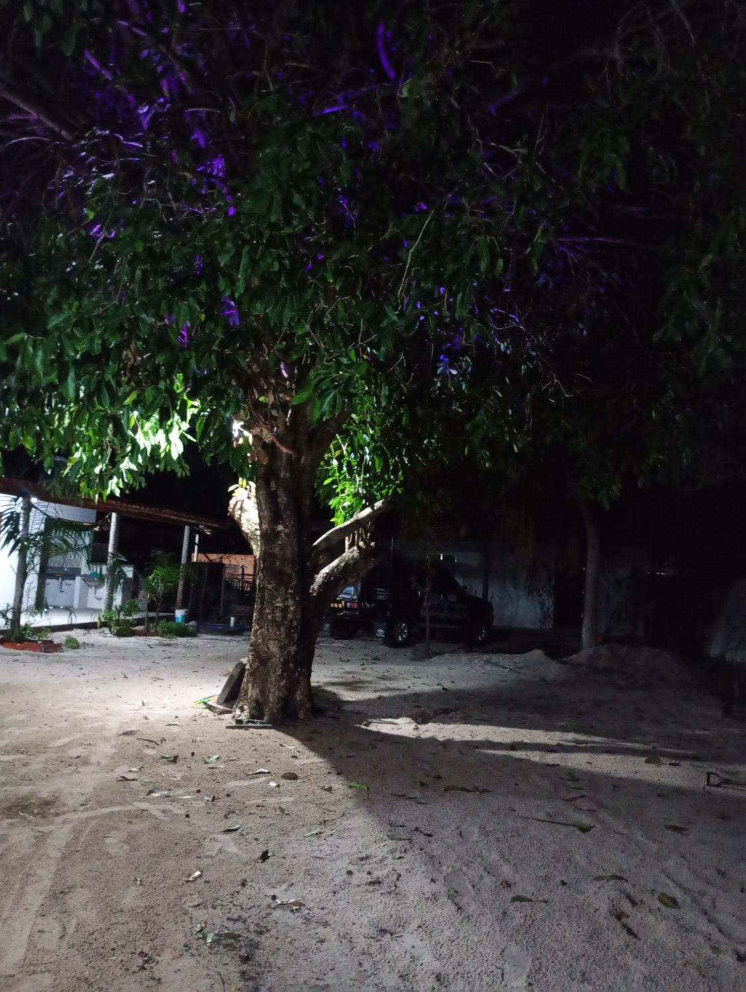 Hostel E Camping Na Rua Das Flores Santo Amaro do Maranhao Luaran gambar
