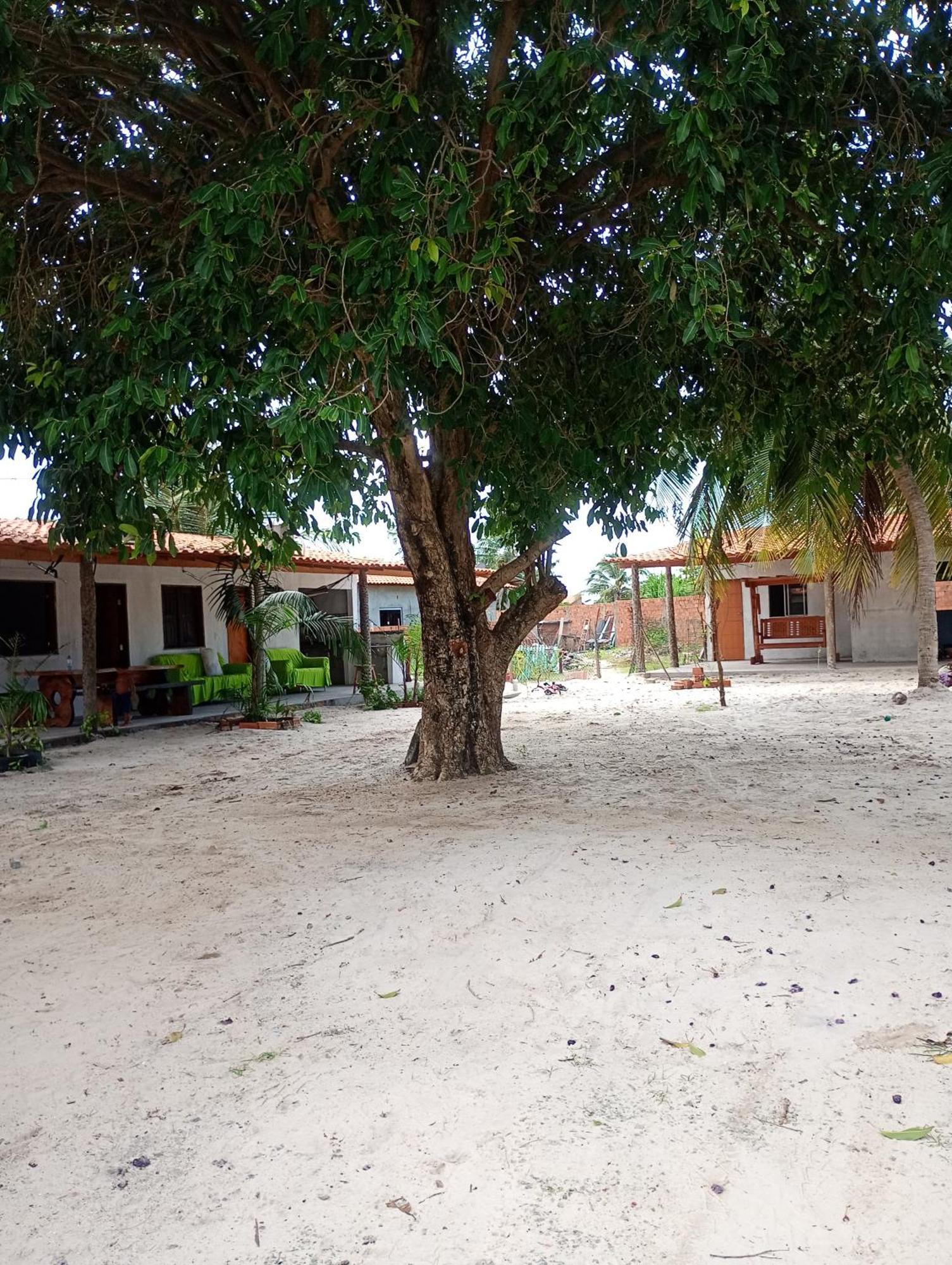 Hostel E Camping Na Rua Das Flores Santo Amaro do Maranhao Luaran gambar