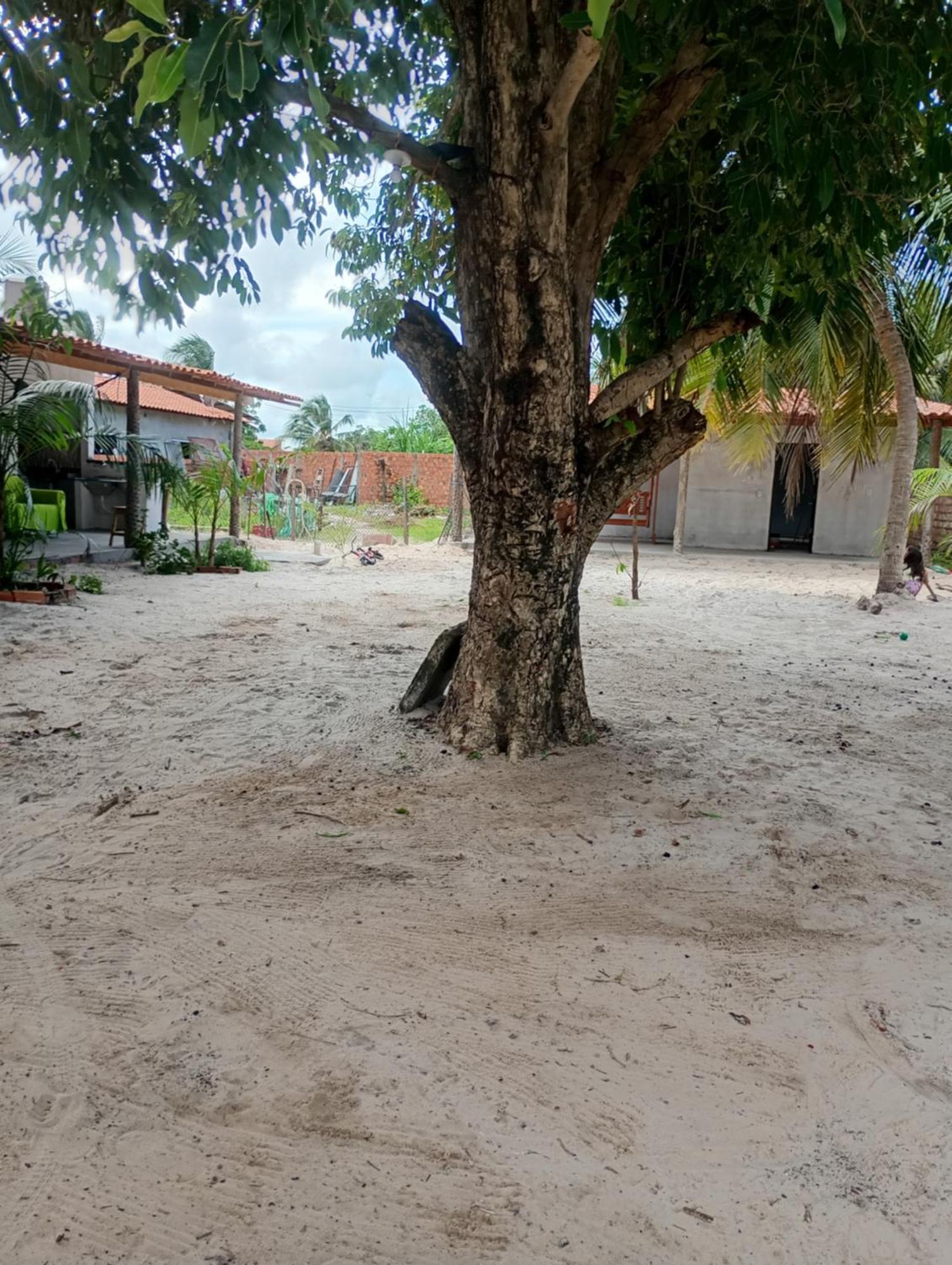 Hostel E Camping Na Rua Das Flores Santo Amaro do Maranhao Luaran gambar
